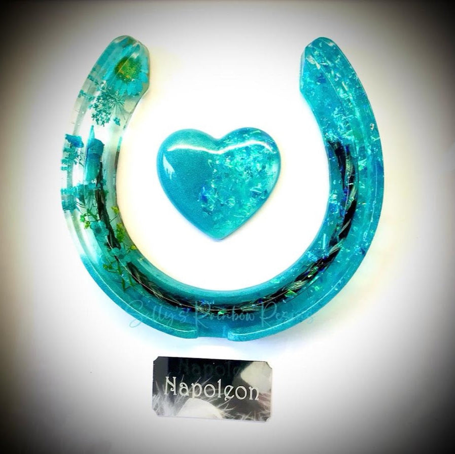Framed Memorial Ashes / Hair Horseshoe