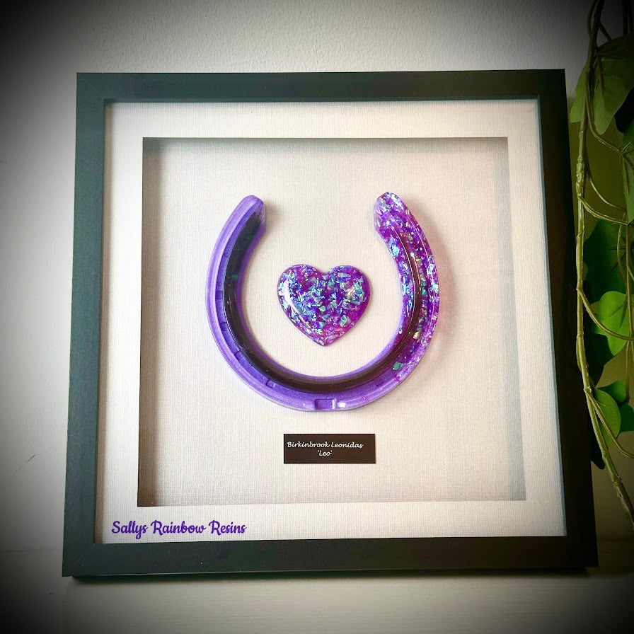 Framed Memorial Ashes / Hair Horseshoe