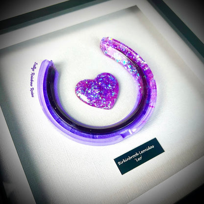 Framed Memorial Ashes / Hair Horseshoe