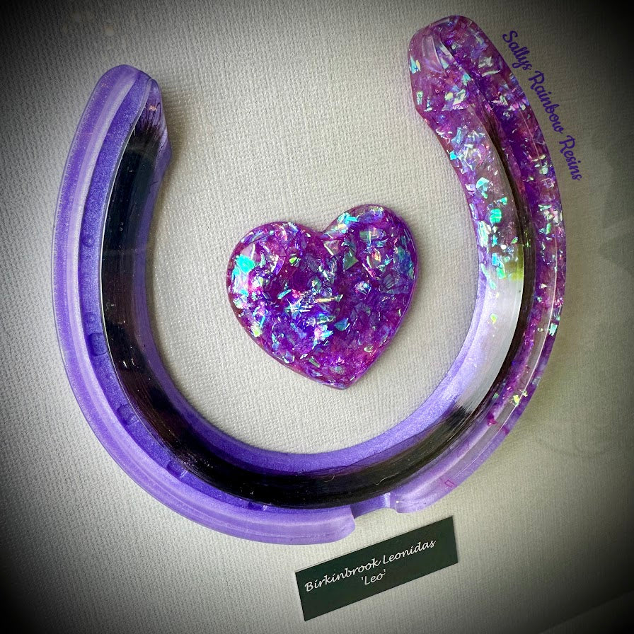 Framed Memorial Ashes / Hair Horseshoe