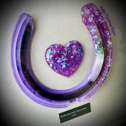 Framed Memorial Ashes / Hair Horseshoe