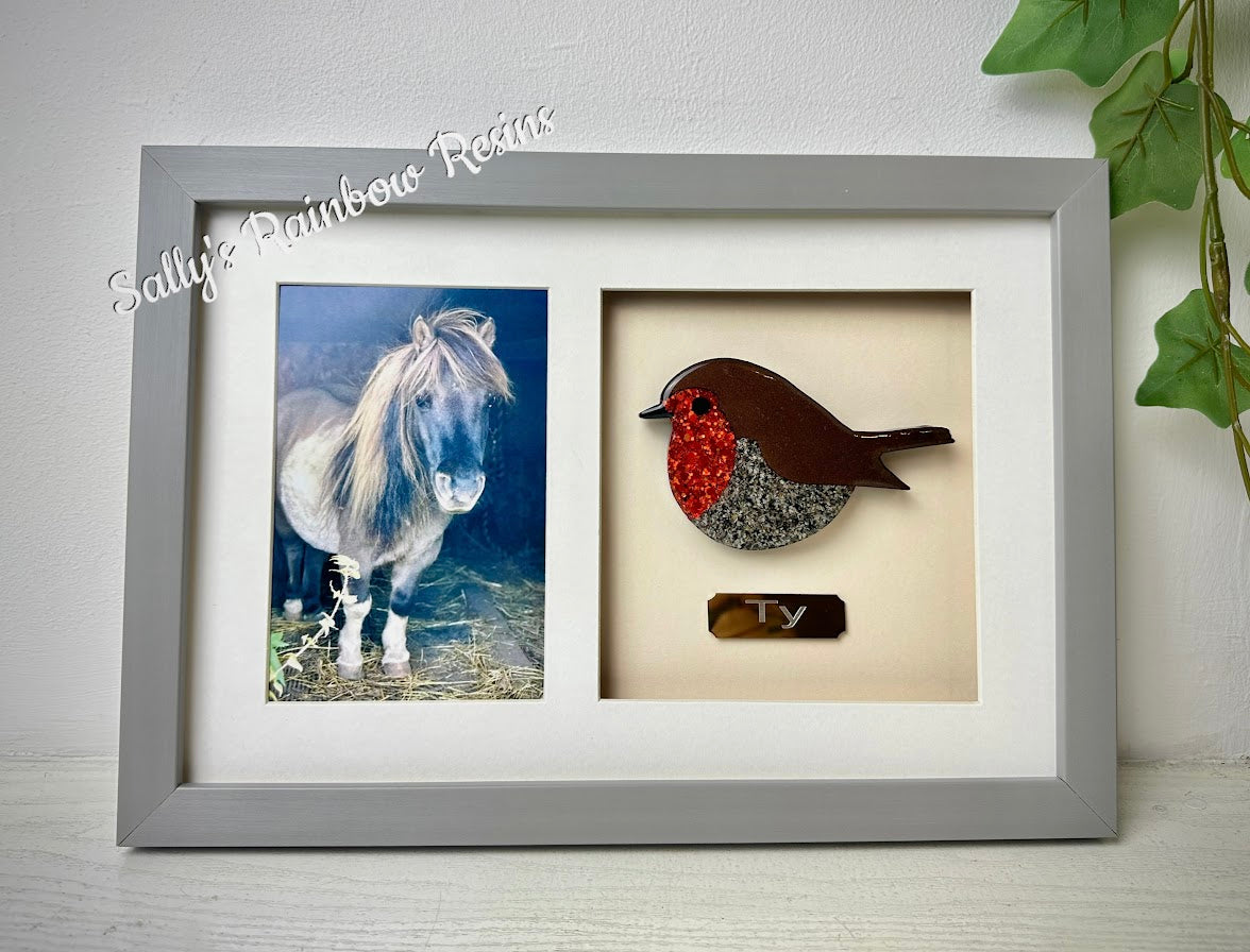 Photo Framed Memorial Ashes/Hair Robin