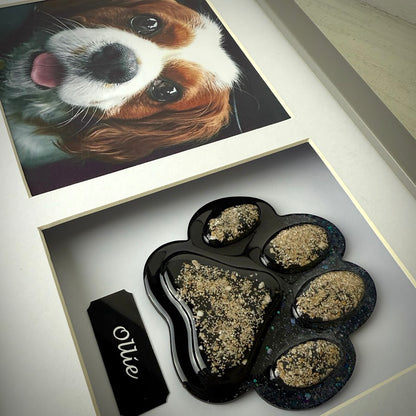 Photo Framed Memorial Ashes/Hair Paw