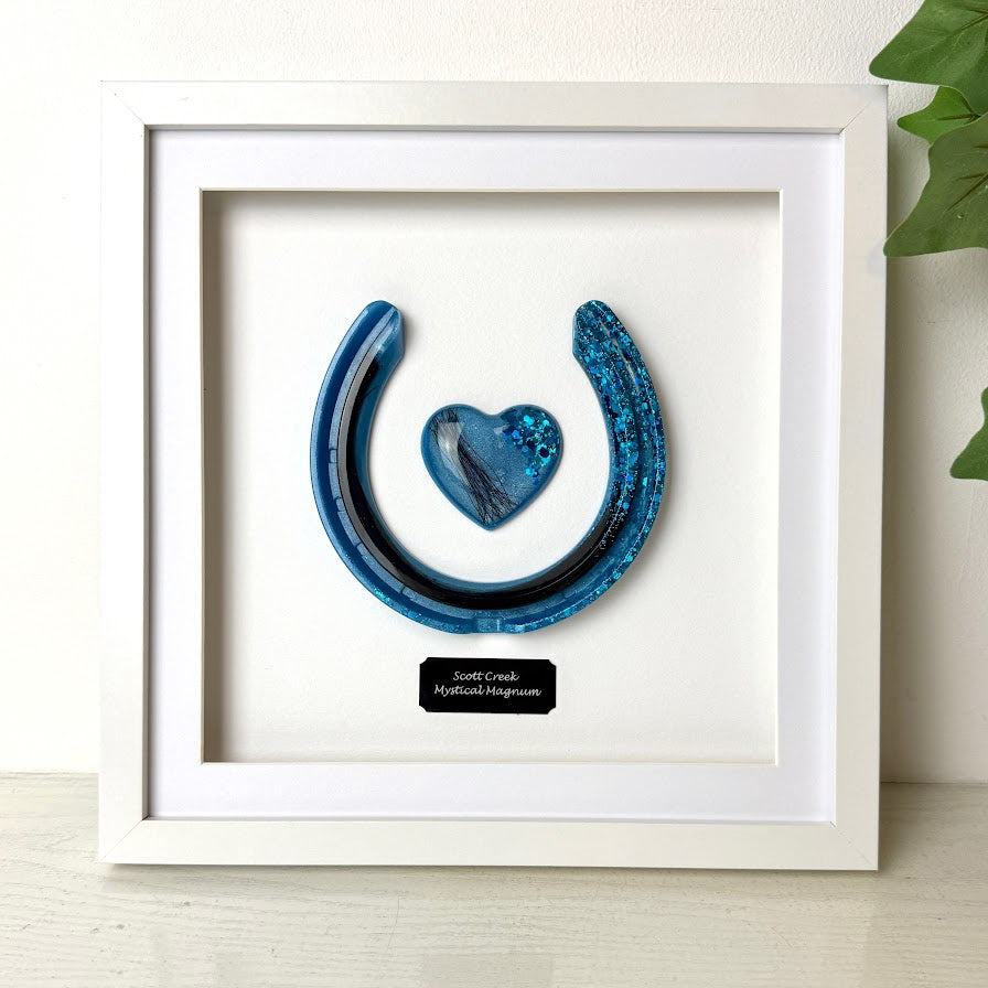 Framed Memorial Ashes / Hair Horseshoe