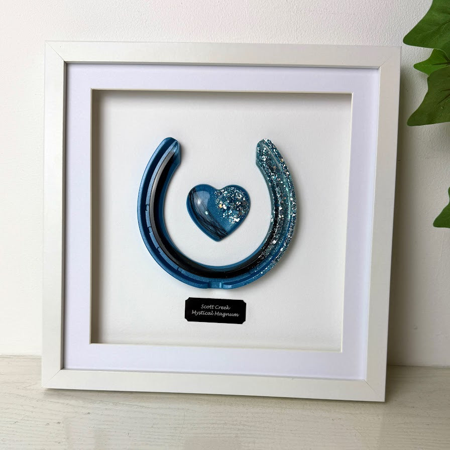 Framed Memorial Ashes / Hair Horseshoe